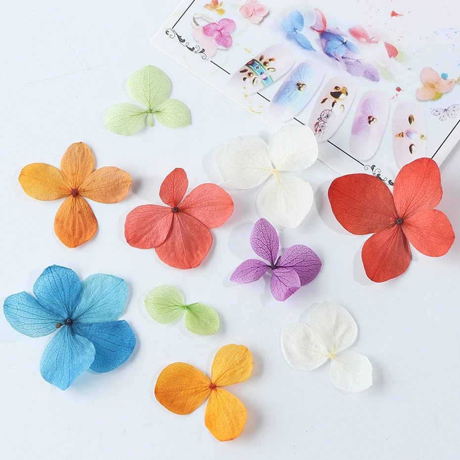 50pcs Nail Dried Flower 3D Nail Art Decorations Natural Real Stickers Sliders Manicure Design UV Gel Polish Jewelry Tips LA980 (6)