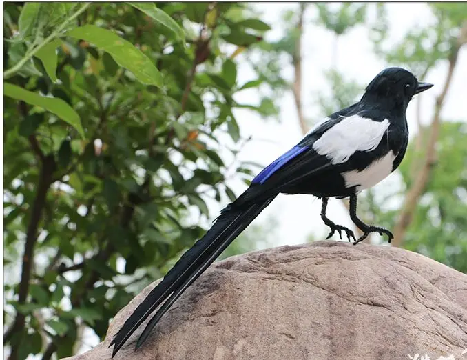 real life toy bird feathers magpie large 45cm vivid model handicraft home garden Decoration props gift h0985 | Игрушки и хобби