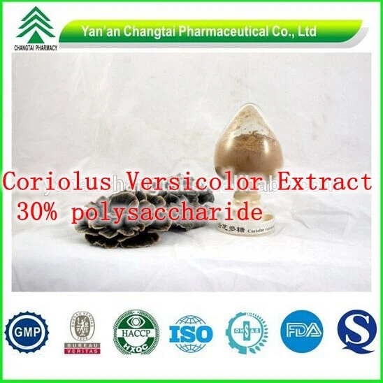 500gram Coriolus Versicolor (Yun Zhi )Extract 30% polysaccharide Immune modulating.
500gram Coriolus Versicolor (Yun Zhi )Extract 30% polysaccharide Immune modulating.