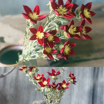 3 Heads One Piece Hibiscus Flower Branch Natural Plant Handmade Combination Dried Flower For Weeding Home Bridal Decoration
3 Heads One Piece Hibiscus Flower Branch Natural Plant Handmade Combination Dried Flower For Weeding Home Bridal Decoration