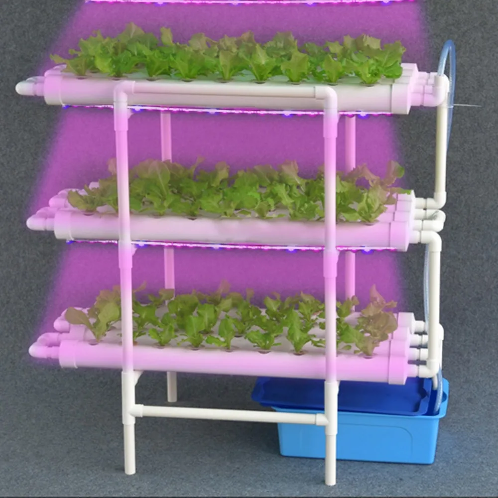 Soilless Cultivation Machine Free 15M LED Grow Light Strip Full Spectrum Phytolamp Plants Hydroponic Seedling Flower Vegetabl
Soilless Cultivation Machine Free 15M LED Grow Light Strip Full Spectrum Phytolamp Plants Hydroponic Seedling Flower Vegetabl