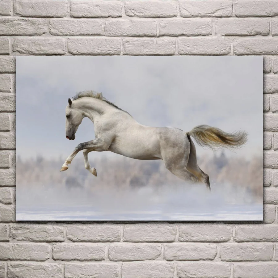 white horse snow running wild animal DW15 room home wall modern art decor wood frame poster
white horse snow running wild animal DW15 room home wall modern art decor wood frame poster