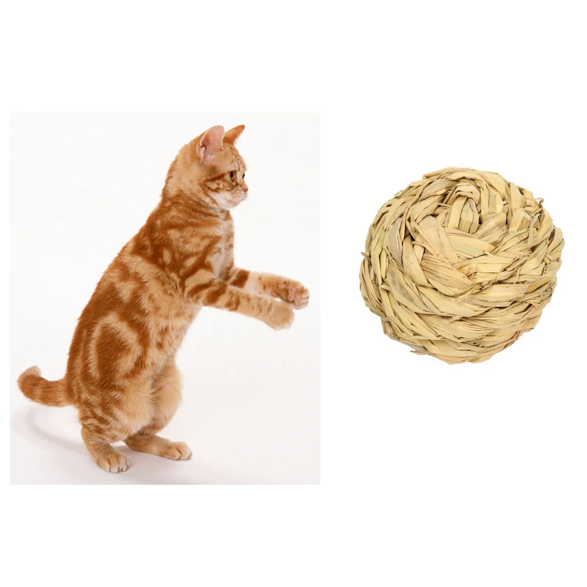 1 pc Natural Grass Ball Pet Chew Toy Tooth Cleaning for Rabbit Hamster Guinea Pig Cat Plant Grass Braided Ball Small Pet Bunny
1 pc Natural Grass Ball Pet Chew Toy Tooth Cleaning for Rabbit Hamster Guinea Pig Cat Plant Grass Braided Ball Small Pet Bunny