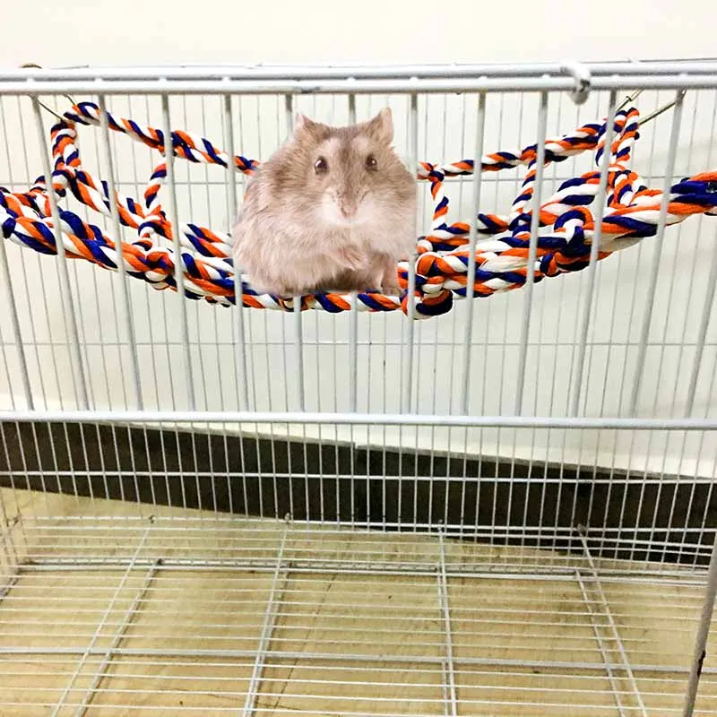 Interesting Climbing Net Weaving Colorful Hammock For Pet Small Hamster Parrots Bird Squirrel FP8 OC26
Interesting Climbing Net Weaving Colorful Hammock For Pet Small Hamster Parrots Bird Squirrel FP8 OC26