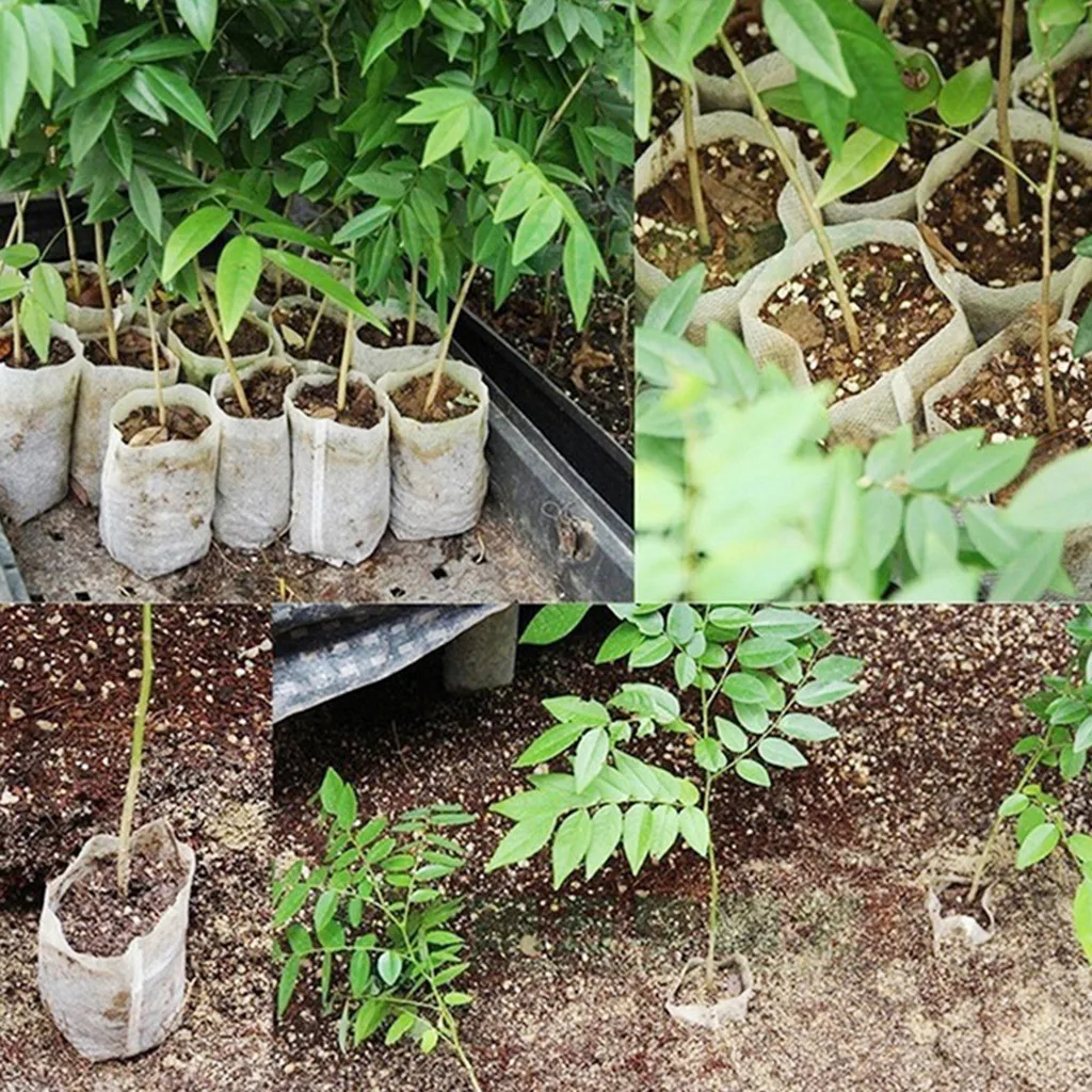 600pcs Seedling Plants Nursery Bags Organic Biodegradable Grow Bags Fabric Eco-friendly Ventilate Growing Planting Bags K15
600pcs Seedling Plants Nursery Bags Organic Biodegradable Grow Bags Fabric Eco-friendly Ventilate Growing Planting Bags K15