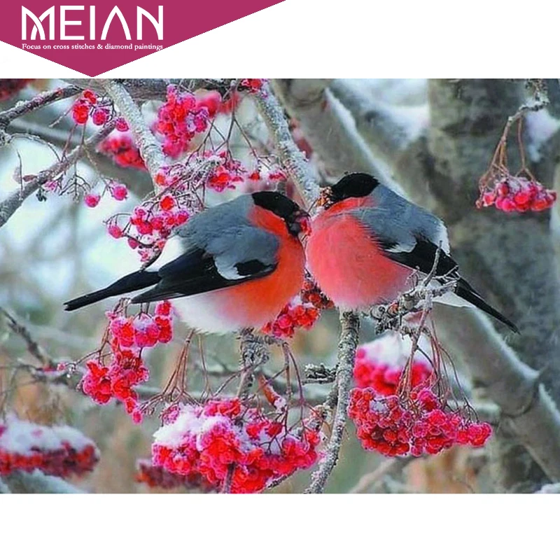 Meian Full Diamond Embroidery Animal "Birds" 5D Diamond Painting Cross Stitch 3D Diamond Mosaic Needlework Crafts
Meian Full Diamond Embroidery Animal "Birds" 5D Diamond Painting Cross Stitch 3D Diamond Mosaic Needlework Crafts
