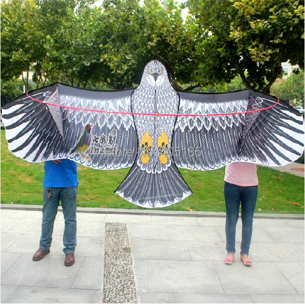 Воздушный змей Eagle мощный 3 6 м с ручкой и плетеной линией|sporting goods mail order|kite artkite