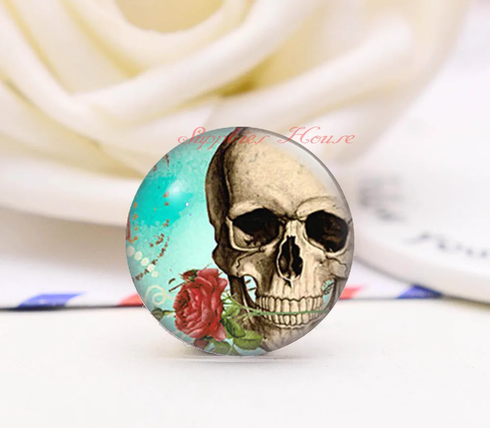 Handmade Round Skeleton photo glass Cabochons, Jewelry Finding Cameo Pendant Settings, (F008-274)