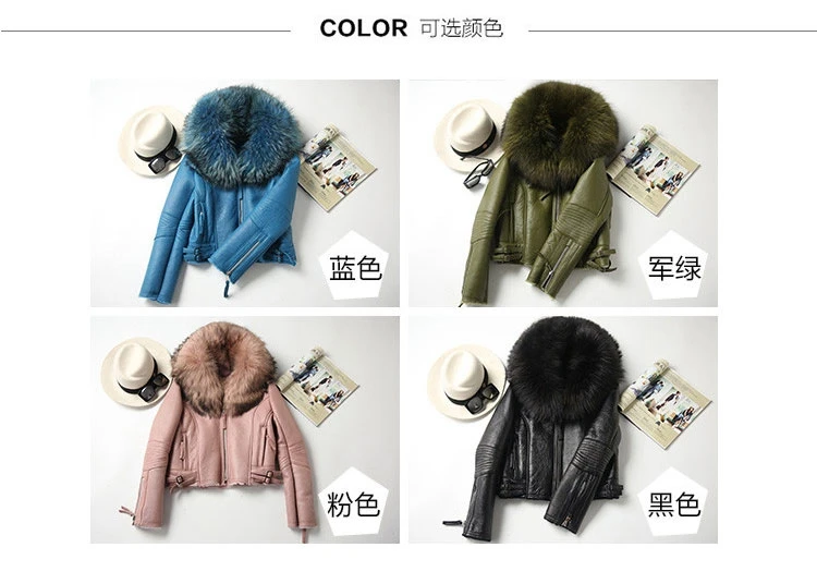 genuine sheepskin leather jacket with raccoon fur collar (7)