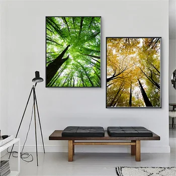 Modern Home Decoration Canvas Art Prints Tree Poster Spring and Autumn Forest Landscape Painting Living Room Wall Pictures
Modern Home Decoration Canvas Art Prints Tree Poster Spring and Autumn Forest Landscape Painting Living Room Wall Pictures
