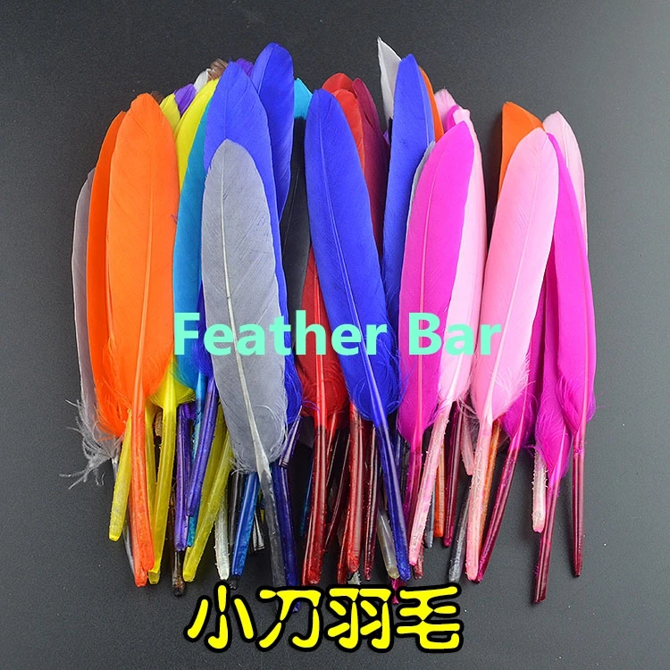 Cheap for Sale 200pcs 15 Colorful Dyed Loose Goose Indian Feather Headdress DIY Wedding Bouquet Decorations Craft for Home Decor
Cheap for Sale 200pcs 15 Colorful Dyed Loose Goose Indian Feather Headdress DIY Wedding Bouquet Decorations Craft for Home Decor
