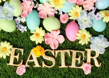 Happy Easter colorful eggs Natural green grass flowers Spring Background Vinyl cloth Computer print wall backdrops
Happy Easter colorful eggs Natural green grass flowers Spring Background Vinyl cloth Computer print wall backdrops