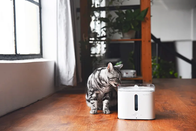 Xiaomi Petkit Smart Water Dispenser 2s