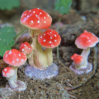 1 pcs miniature garden decorations 2 Head Red Mushroom Toadstool Miniature Fairy Garden Terrarium Figurine mini house Decor
1 pcs miniature garden decorations 2 Head Red Mushroom Toadstool Miniature Fairy Garden Terrarium Figurine mini house Decor