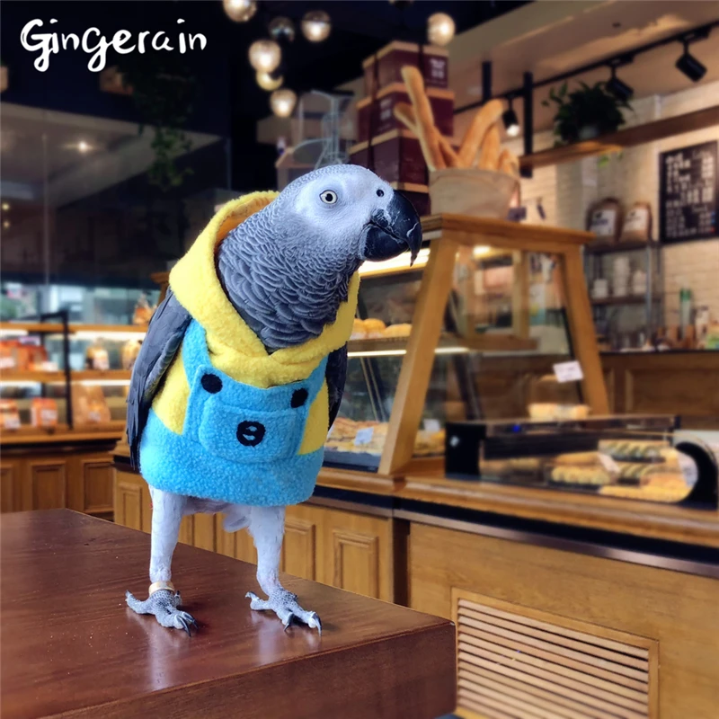 Gingerain Bird clothes Parrot clothes Yellowish Dave original hand-made custom bird clothes Hooded Sweater Yellowish Dave
Gingerain Bird clothes Parrot clothes Yellowish Dave original hand-made custom bird clothes Hooded Sweater Yellowish Dave