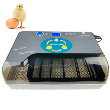 Digital Egg Incubator Automatic Egg Hatcher Automatic Turning 12 Eggs Chicken Birds Quail Brooder Egg Incubator
Digital Egg Incubator Automatic Egg Hatcher Automatic Turning 12 Eggs Chicken Birds Quail Brooder Egg Incubator