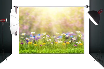 HUAYI Flowers Photography Background Newborn backdrop spring backdrop D9573
HUAYI Flowers Photography Background Newborn backdrop spring backdrop D9573