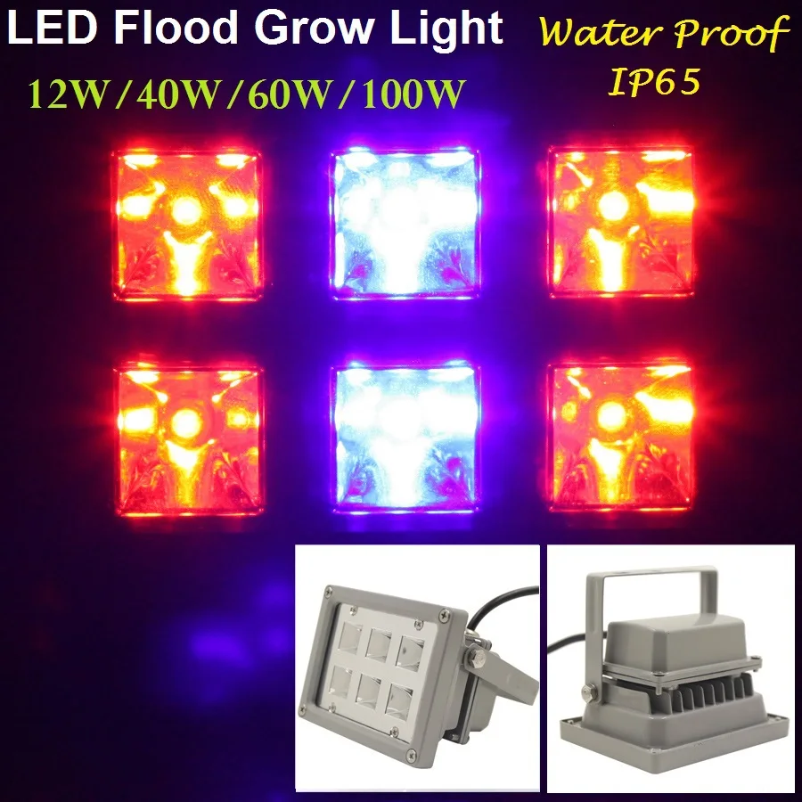 12W/40W/60W/100W Waterproof IP65 Red&Blue Colors LED Flood Grow Light Lamps For Plants And Hydroponic System Grow/Bloom Lighting
12W/40W/60W/100W Waterproof IP65 Red&Blue Colors LED Flood Grow Light Lamps For Plants And Hydroponic System Grow/Bloom Lighting