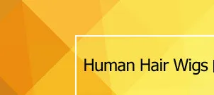 lace-front-human-hair-wigs-full-lace-human-hair-wigs_01_01