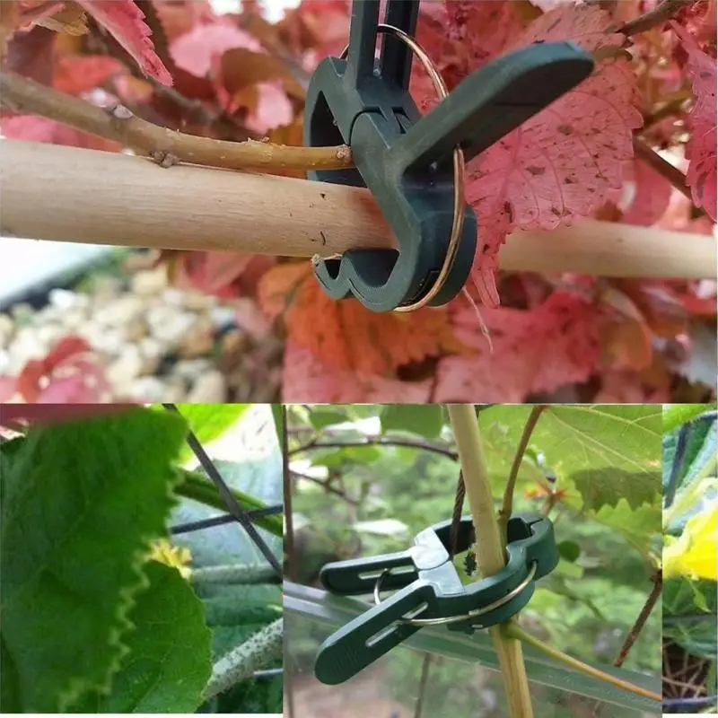 20 PCS 2 Sizes Plant Support Clip Garden Vegetables Clips Hanging Vine Clips for Supporting Plant Stems Grow Upright
20 PCS 2 Sizes Plant Support Clip Garden Vegetables Clips Hanging Vine Clips for Supporting Plant Stems Grow Upright