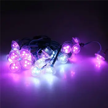 60Pcs WS2811 3LEDs 26mm(Dia.) Transparent LED String Module Pixel light 5050smd Addressable RGB Dream full color 12V advertising
60Pcs WS2811 3LEDs 26mm(Dia.) Transparent LED String Module Pixel light 5050smd Addressable RGB Dream full color 12V advertising