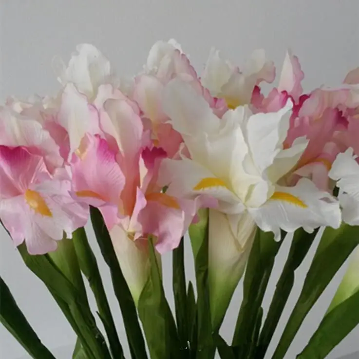 1Pc Artificial Irish Iris flower fleurs artificielles for autumn wedding table accessory home decoration fake Irish flowers
1Pc Artificial Irish Iris flower fleurs artificielles for autumn wedding table accessory home decoration fake Irish flowers