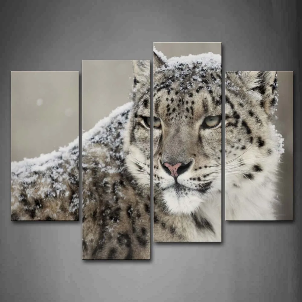 Framed Wall Art Picture Snow Leopard Snow Canvas Print Animal Modern Poster With Wooden Frame For Home Living Room Decor
Framed Wall Art Picture Snow Leopard Snow Canvas Print Animal Modern Poster With Wooden Frame For Home Living Room Decor