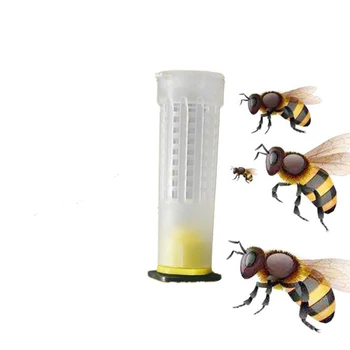 10PCS Bee Keeping Rearing Cup Queen Bee Cylinder Cage Holding Beekeeping Equipment
10PCS Bee Keeping Rearing Cup Queen Bee Cylinder Cage Holding Beekeeping Equipment