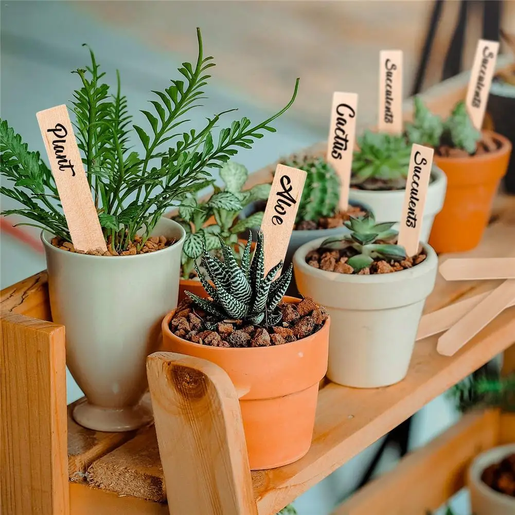 50PCS Garden Labels Wooden Plant Stake For Labelling Flower Plant Signs Gardening Card Flowerpot Tag Garden Supplies
50PCS Garden Labels Wooden Plant Stake For Labelling Flower Plant Signs Gardening Card Flowerpot Tag Garden Supplies