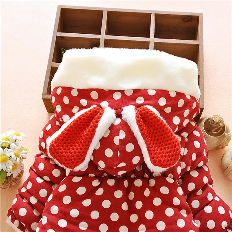 2422157229_128607065