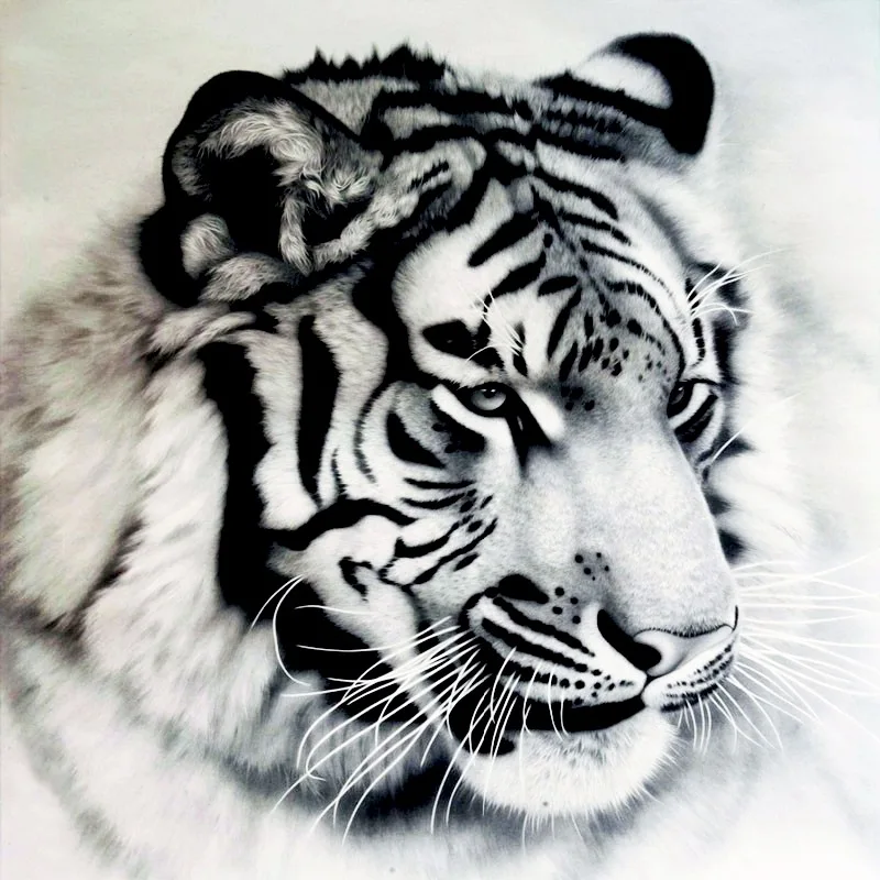 Cutiepop 5D Full Resin Diamond Painting Animal Tiger Rhinestone Picture Paste Mosaic Embroidery DIY Cross Stitch NCP153
Cutiepop 5D Full Resin Diamond Painting Animal Tiger Rhinestone Picture Paste Mosaic Embroidery DIY Cross Stitch NCP153