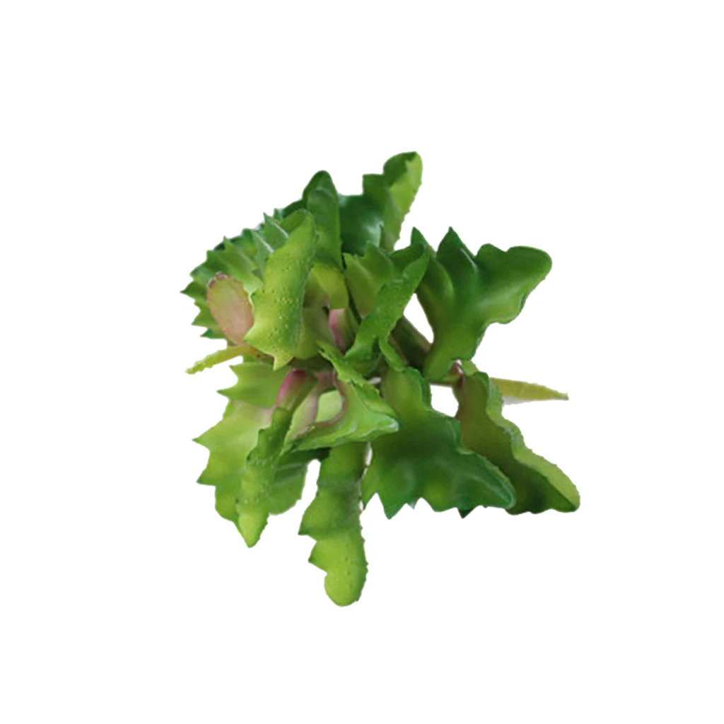 Lifelike Sedum Artificial Succulent Bunch Fruit Big Leaf Plants Decor Green Lifelike Sedum Artificial Succulent Bunch Fruit Big Leaf Plants Decor Green