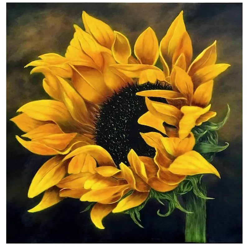 100% Full Round 5D DIY Diamond Painting Diamant Daimond Paintings Painting Accessories Art Diamonds New Arrivals Sunflower
100% Full Round 5D DIY Diamond Painting Diamant Daimond Paintings Painting Accessories Art Diamonds New Arrivals Sunflower