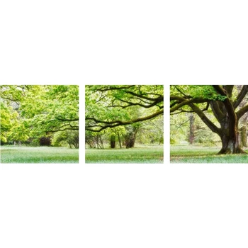 Needlework full embroidery painting cross stitch diy diamond painting kits crystal square diamond three tree paintings #BR57
Needlework full embroidery painting cross stitch diy diamond painting kits crystal square diamond three tree paintings #BR57
