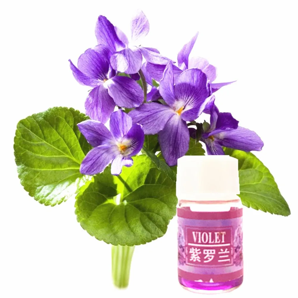 Cold Press Violet fragrance oil Organic Body Massage Relax Spa Diffuser Humidifier
Cold Press Violet fragrance oil Organic Body Massage Relax Spa Diffuser Humidifier