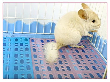 Small Pet Health Floor Mats Rabbit Guinea Pig Squirrel Totoro Cages For Hamsters Rabbit Animal House Hamster In A House Toys
Small Pet Health Floor Mats Rabbit Guinea Pig Squirrel Totoro Cages For Hamsters Rabbit Animal House Hamster In A House Toys