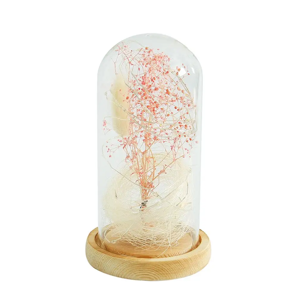 AUGKUN Artificial Babysbreath Flower In Led Light Glass Dome Simulated Flower Micro Landscape Decoration Night Light Ornament
AUGKUN Artificial Babysbreath Flower In Led Light Glass Dome Simulated Flower Micro Landscape Decoration Night Light Ornament