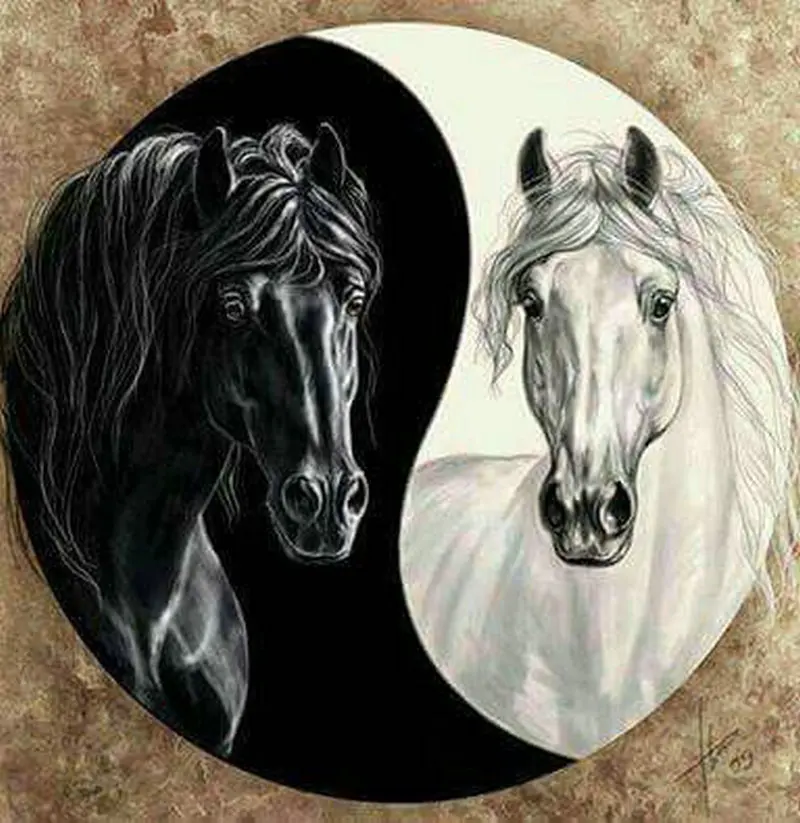 Full square & round diy diamond painting black horse white horse Tai Chi icon 3D diamond embroidery mosaic diamond cross stitch
Full square & round diy diamond painting black horse white horse Tai Chi icon 3D diamond embroidery mosaic diamond cross stitch