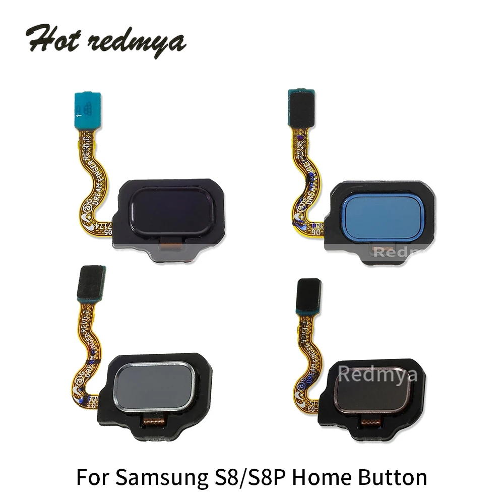s8 Home Button Key Touch ID Fingerprint Sensor Flex Cable Ribbon Parts For Samsung Galaxy S8 G950 G950F S8+ S8 Plus G955 G955F
s8 Home Button Key Touch ID Fingerprint Sensor Flex Cable Ribbon Parts For Samsung Galaxy S8 G950 G950F S8+ S8 Plus G955 G955F