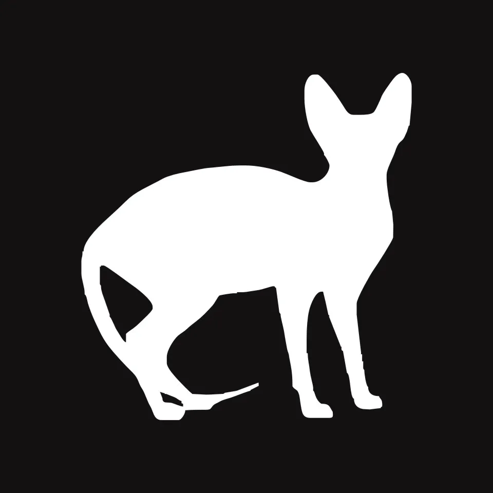 Anycuros Sphynx Cat Car Window Decorative Decals Funny Lovely Animal Car Stickers 11.512.1CM (6)