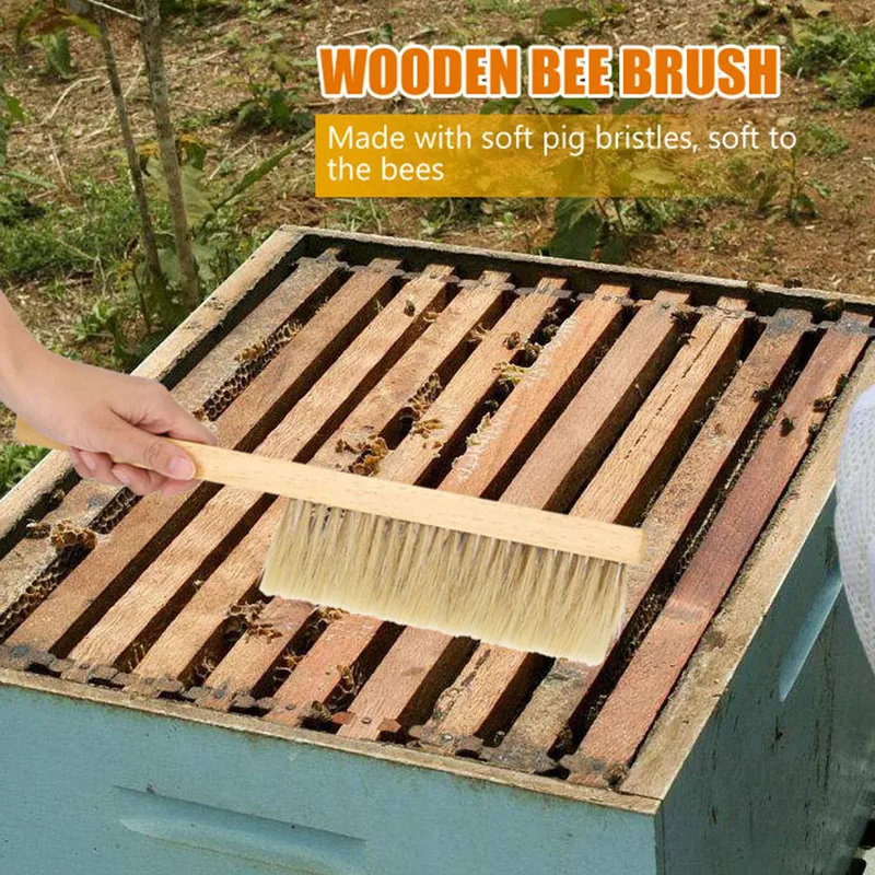 Beekeeping Tools Wood Wasp Sweep Brush Two Rows of Horse Tail Hair New Bee Brush Beekeeping Equipment Garden Tools
Beekeeping Tools Wood Wasp Sweep Brush Two Rows of Horse Tail Hair New Bee Brush Beekeeping Equipment Garden Tools
