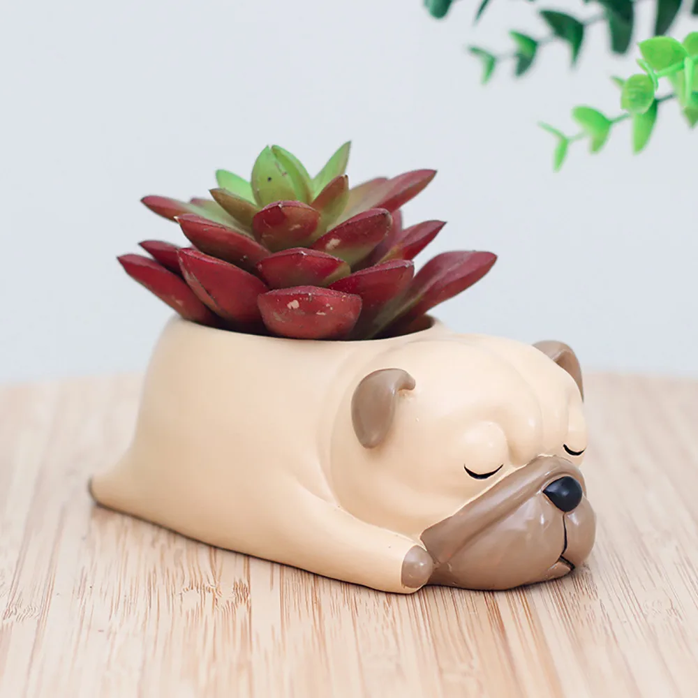 Cute Cartoon Animal Pot Planters dog cat look for Home Garden Office Desktop Decoration vaso suculenta
Cute Cartoon Animal Pot Planters dog cat look for Home Garden Office Desktop Decoration vaso suculenta