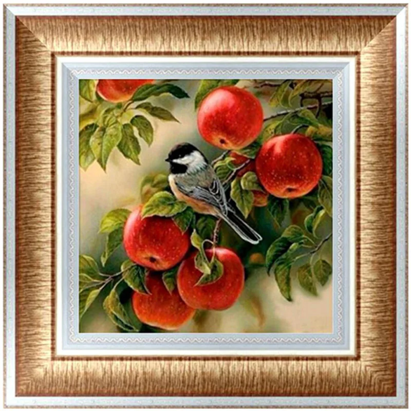 DIY 5D Diamonds Embroidery apple tree bird Round Diamond Painting Cross Stitch Kits Diamond Mosaic 30*30cm For Promotion
DIY 5D Diamonds Embroidery apple tree bird Round Diamond Painting Cross Stitch Kits Diamond Mosaic 30*30cm For Promotion
