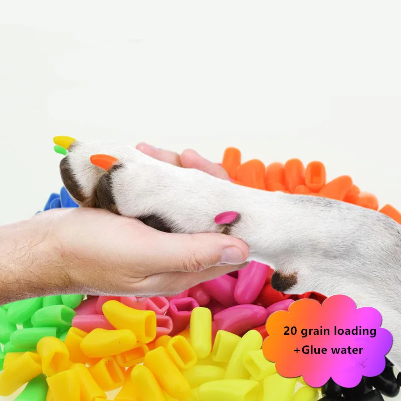 20 Grains New Rubber Pet Toy Anti Scratch and Scratch Prevention of Pet Nail Sleeve for Dogs and Cats Pet Supplies Accessories
20 Grains New Rubber Pet Toy Anti Scratch and Scratch Prevention of Pet Nail Sleeve for Dogs and Cats Pet Supplies Accessories