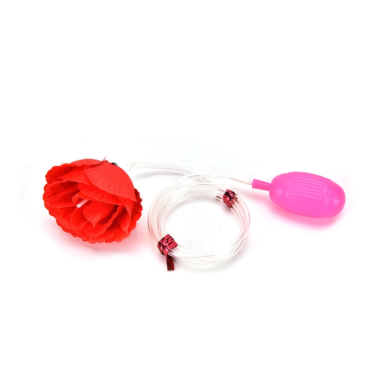 Lovely & High Quality 1 pcs Trick Funny Joke Prank Toys Water Squirt Rose Clown Flowers
Lovely & High Quality 1 pcs Trick Funny Joke Prank Toys Water Squirt Rose Clown Flowers