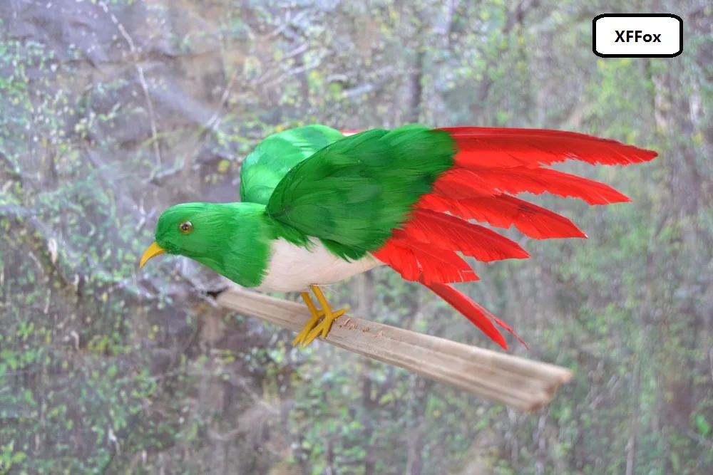 cute simulation wings bird model foam&furs green & red bird doll gift about 22cm xf0412
cute simulation wings bird model foam&furs green & red bird doll gift about 22cm xf0412