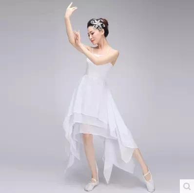 Modern dance costumes adult ballet skirt elegant youth modern dance stage performance clothing
Modern dance costumes adult ballet skirt elegant youth modern dance stage performance clothing