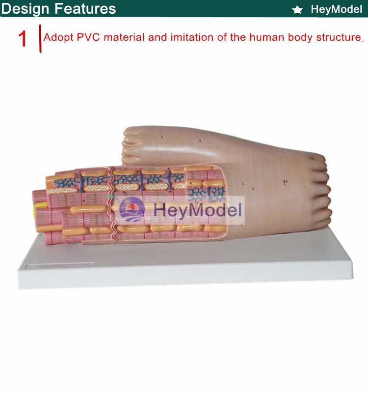 1.PVC_