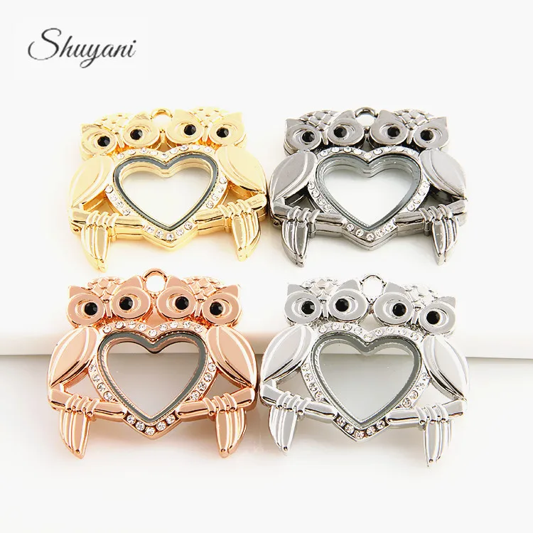 10pcs/lot Cute Double Animal Owl Heart Glass Floating Memory Living Charms Relicario Locket Pendant For Jewelry Accessories Bulk
10pcs/lot Cute Double Animal Owl Heart Glass Floating Memory Living Charms Relicario Locket Pendant For Jewelry Accessories Bulk