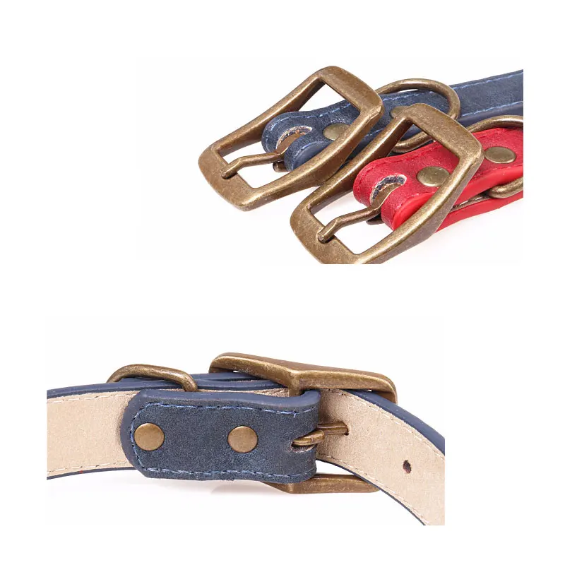 05 dogs accessoires